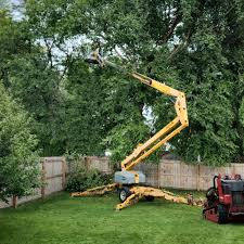 Best Tree Preservation Services  in Spring Lake, MI